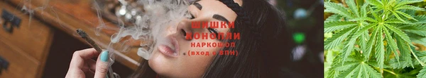 гидропоника Балабаново