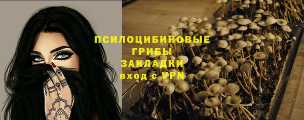 гидропоника Балабаново