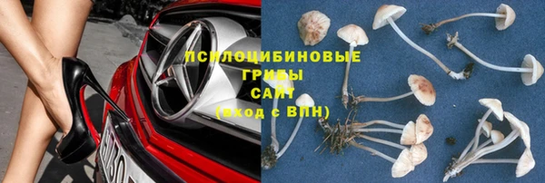 гидропоника Балабаново