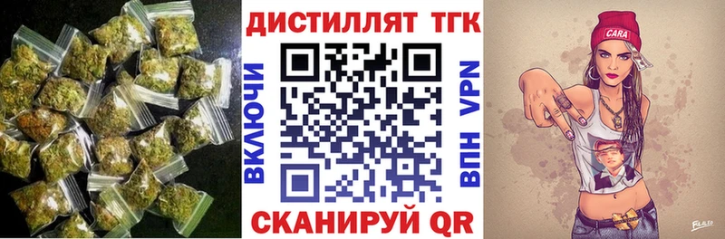 MEGA как зайти  Чудово  ТГК концентрат 