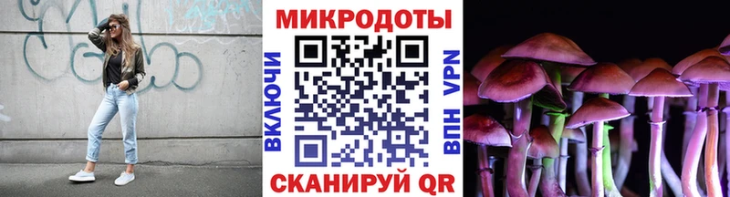 Галлюциногенные грибы Psilocybine cubensis  Чудово 